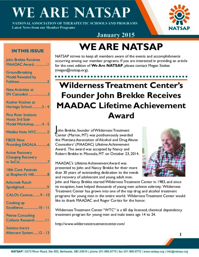 We Are NATSAP January 2015