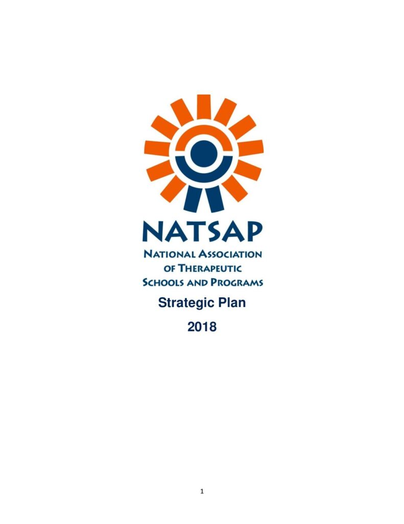 NATSAP Strategic Plan 2018