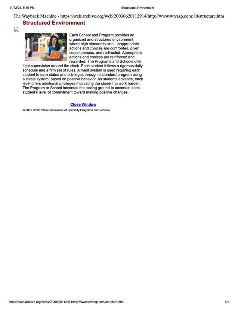 Wwasp Structured Environment 2003
