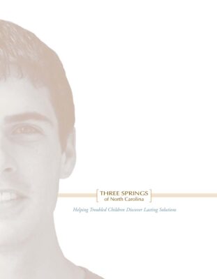 Three Springs Of North Carolina Brochure