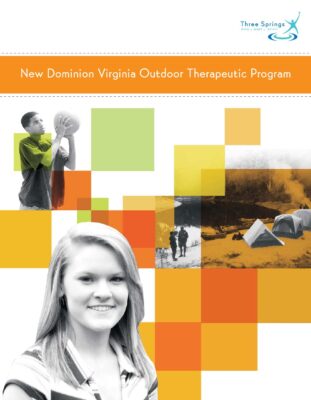 New Dominion VA Brochure 2007