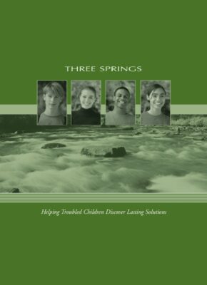 Three Springs Brochure