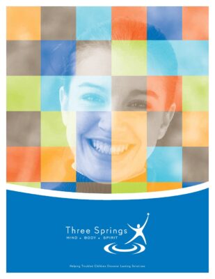 Three Springs Corporate Brochure