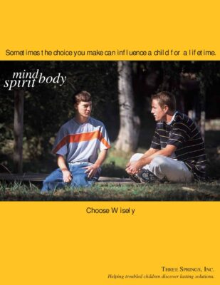 Three Springs Treatment Programs