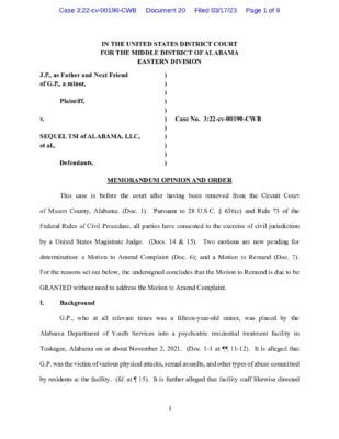 JP And GP Vs Sequel TSI Memorandum And Order 2023