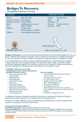 Bridges To Recovery 2012-2013 NATSAP Profile