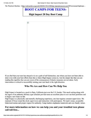 High Impact Website 2001