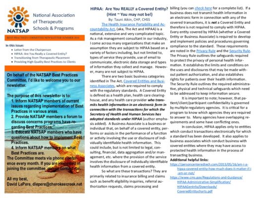 NATSAP — Best Practices Committee Newsletter (Summer 2016)