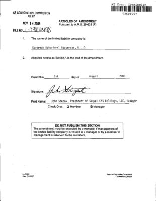 Daybreak Behavioral Resources Articles Of Amendment 2008