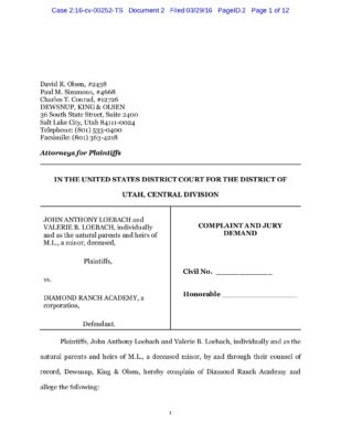 Loebach V DRA Complaint