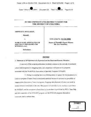 Lon Woodbury Expert Report