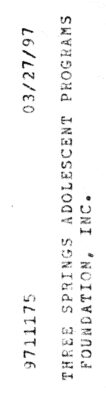 Three Springs Adolescent Programs Foundation — Certificate Of Authority (March 1997)