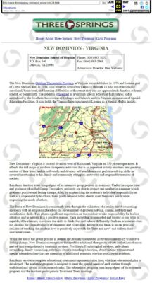 New Dominion - Virginia Website 1999