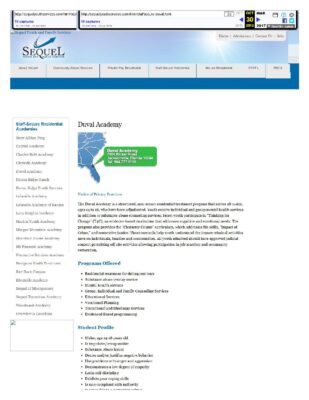 Sequel Website Duval Academy 2016