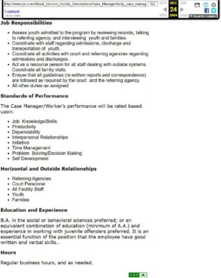 YSI Job Posting 2004