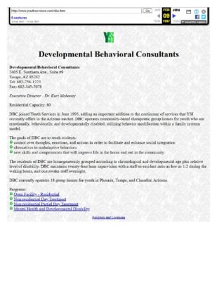 YSI Website Developmental Behavioral Consultants 1997