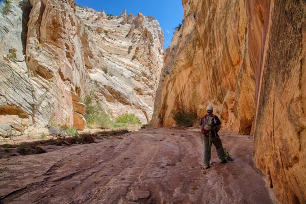 Grand Staircase-Escalante NM (8878236493)