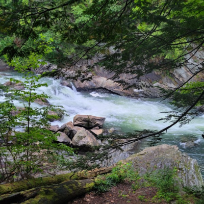 Facility Grounds — Photograph