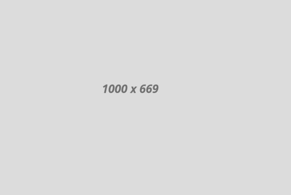 Banner3